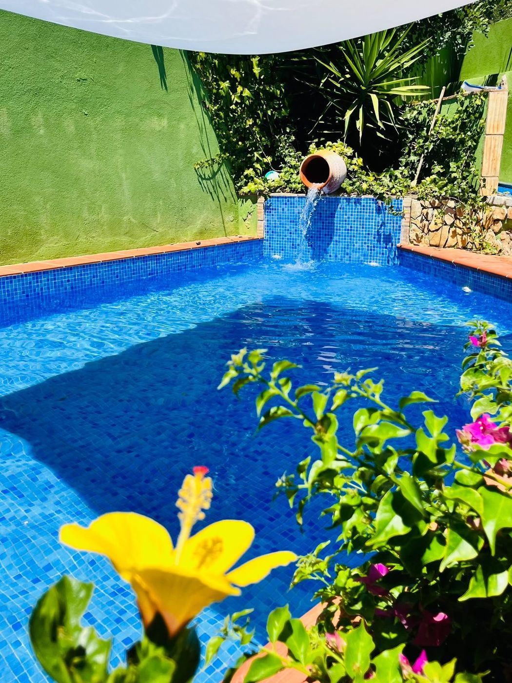 The pool in the shade of the quinta wall, hibiscus in the foreground